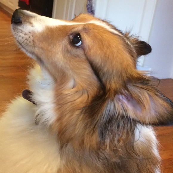 Make an offer - Picture 2 of 2